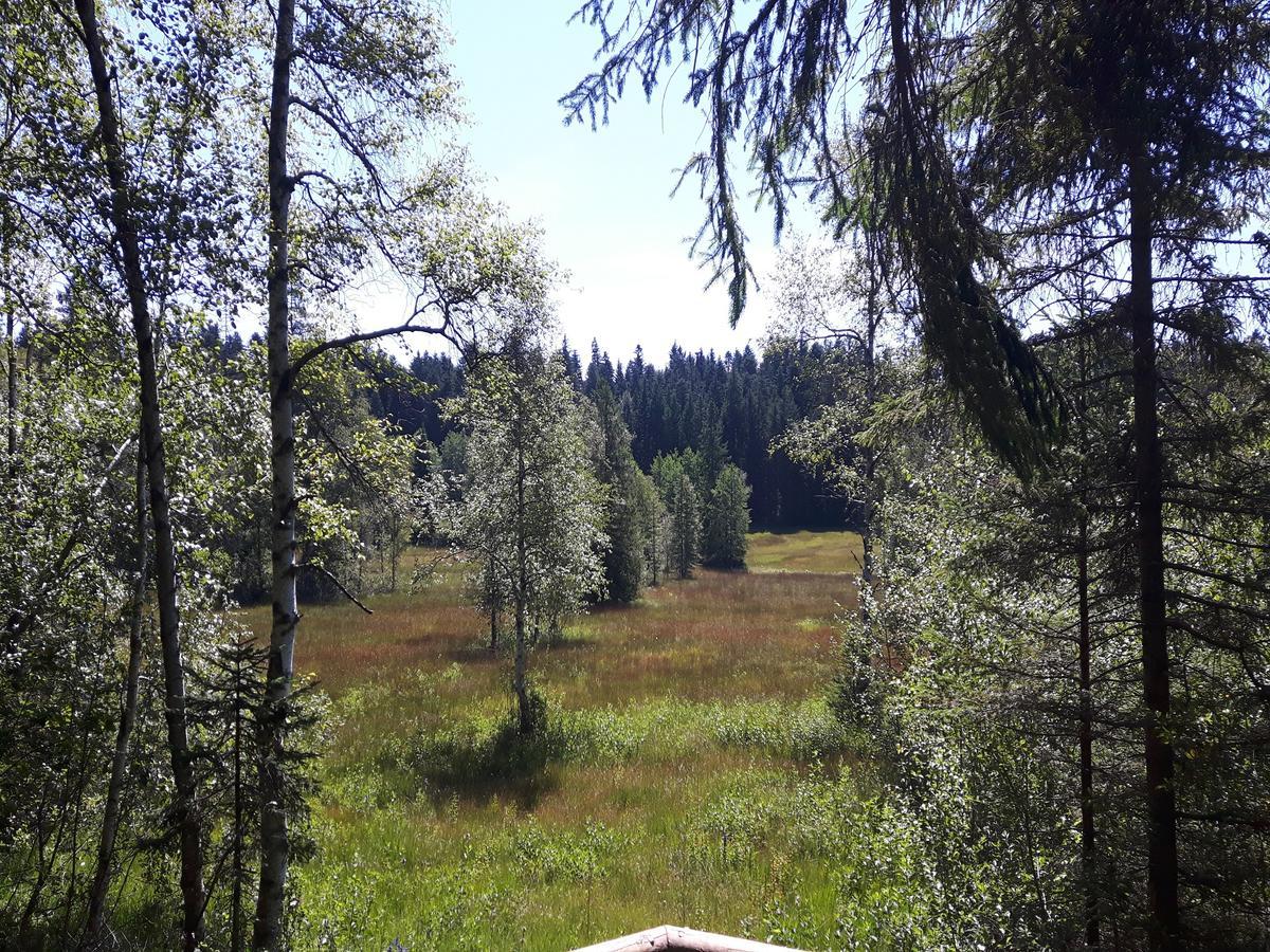Ferienwohnung Sonnenschein Heimenkirch Bagian luar foto