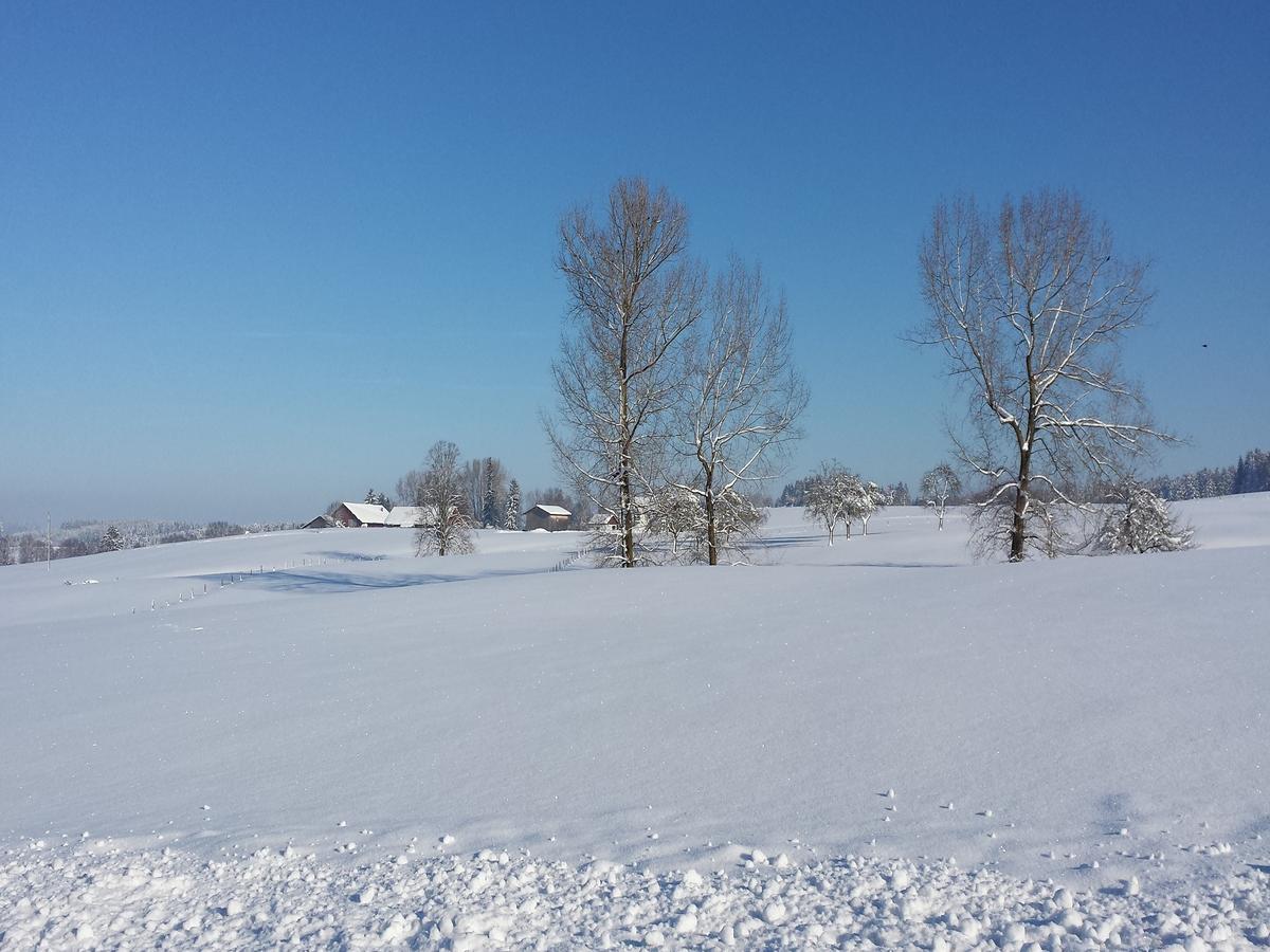 Ferienwohnung Sonnenschein Heimenkirch Bagian luar foto